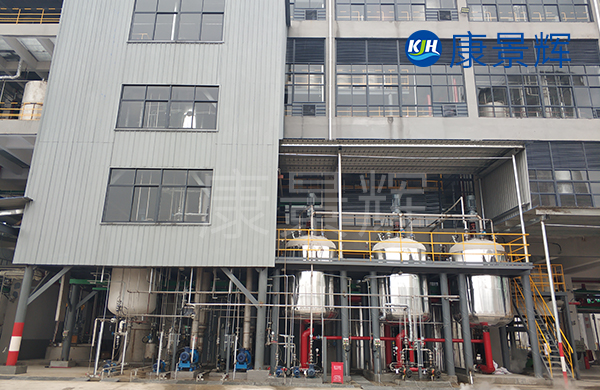 4.2t/h硫酸銨廢液焚燒前蒸發預處理