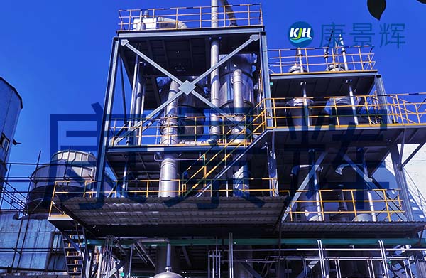 6T/h二元酸廢水蒸發結晶設備